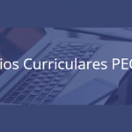 Estágios Curriculares do Ministério dos Negócios Estrangeiros