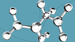 Bolsas da Fundação Calouste Gulbenkian